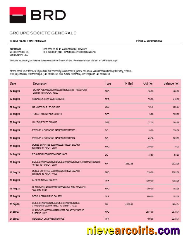 BRD Bank organization account statement